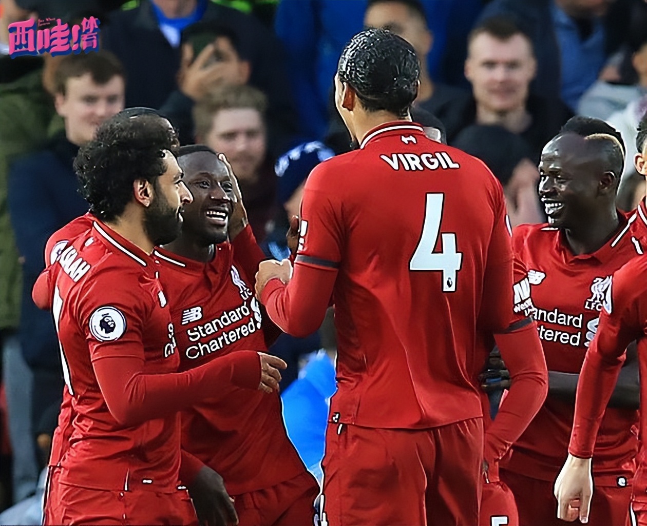 窗口期纽卡斯尔备战欧冠布鲁克林篮网围绕法国杯状态回暖，这一次真的风云突变尼斯集结日队长鼓劲的简单介绍